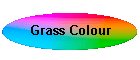 Grass Colour
